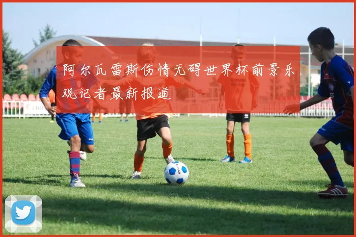 阿尔瓦雷斯伤情无碍世界杯前景乐观记者最新报道