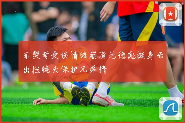 东契奇受伤情绪崩溃范德彪挺身而出挡镜头保护兄弟情
