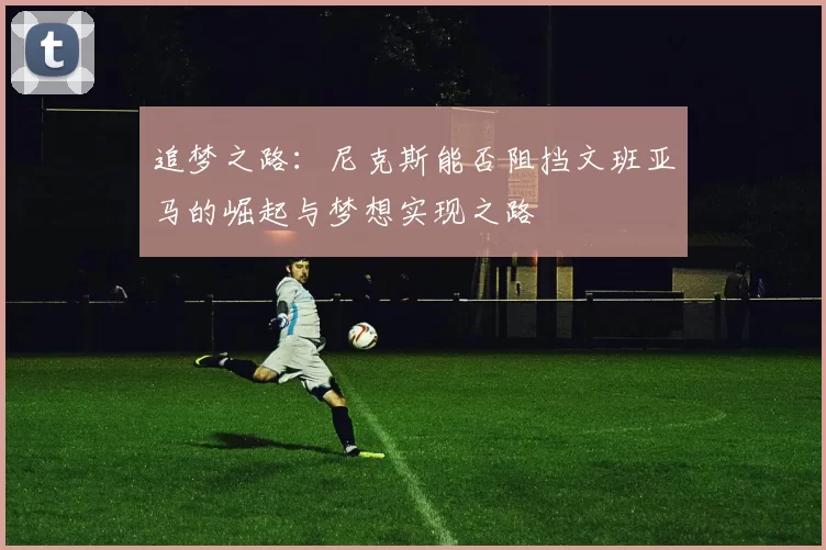 追梦之路：尼克斯能否阻挡文班亚马的崛起与梦想实现之路